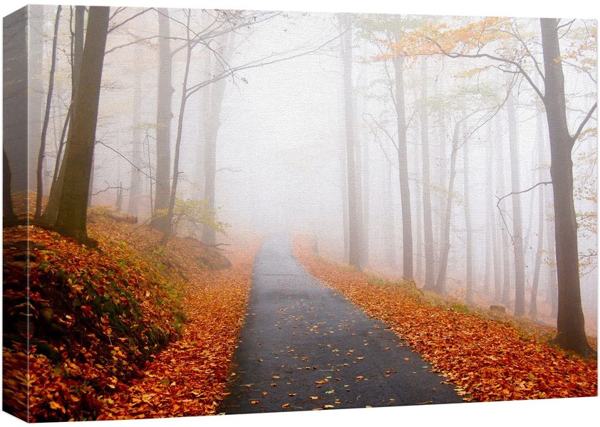 rustic nature path
