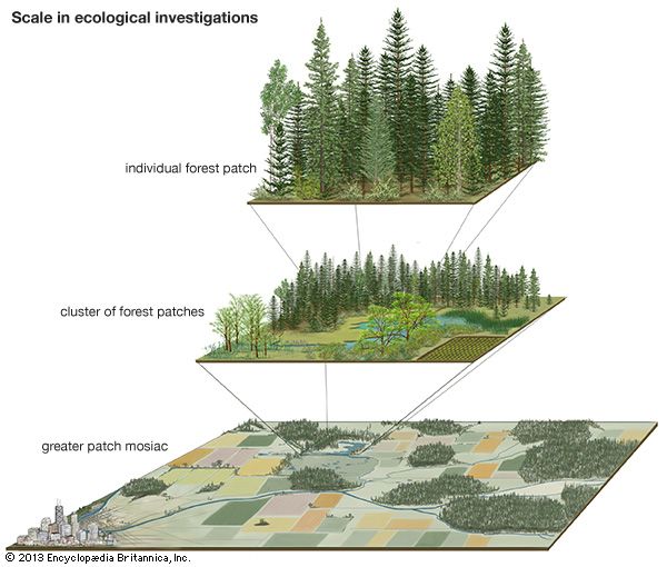landscape, population analysis, ecological field research