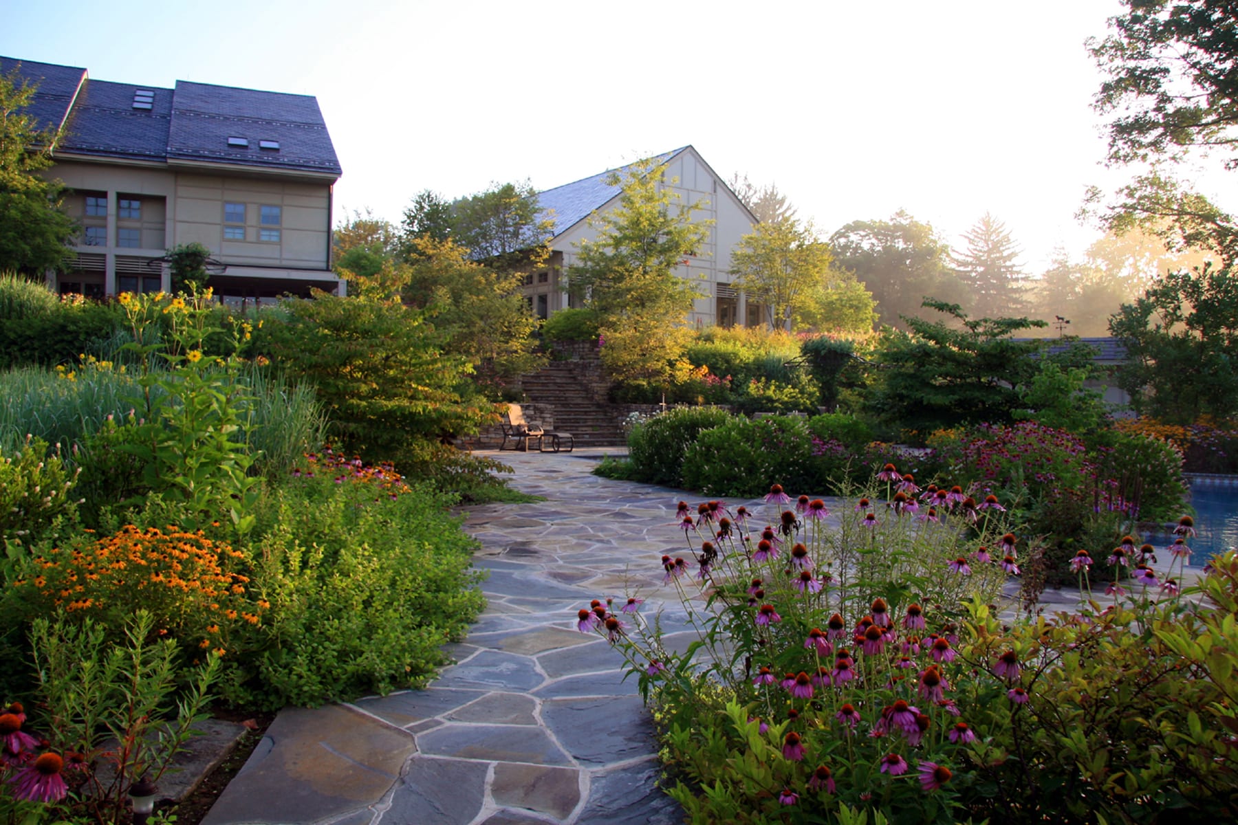 landscape rural scene with diverse natural elements