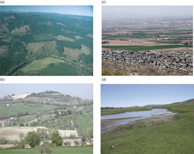landscape ecology field