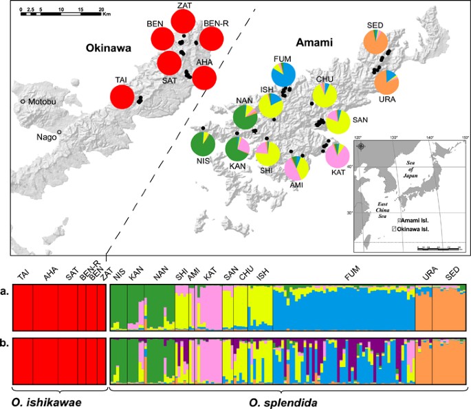 landscape population structure