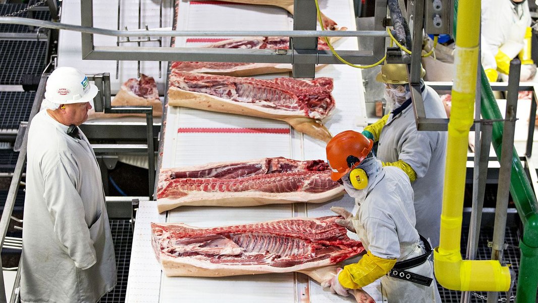 pork-production-processing-waste-yw3fzq2t