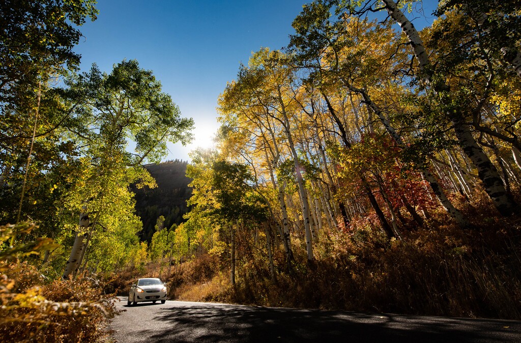 scenic industry landscape