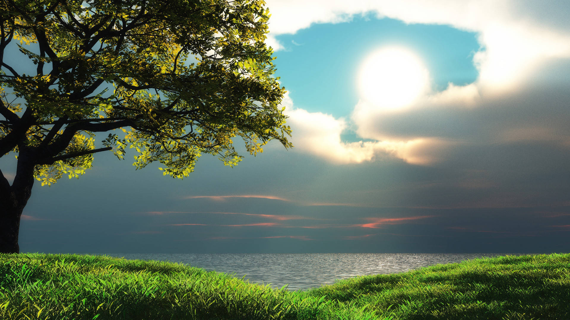 sunrise nature view