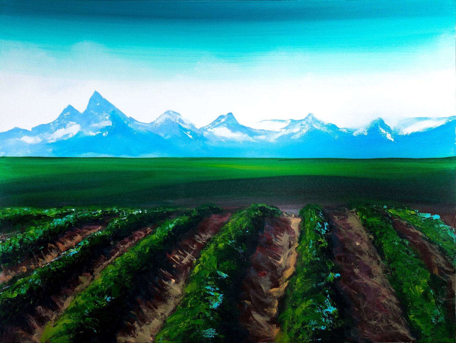 potato field scenery