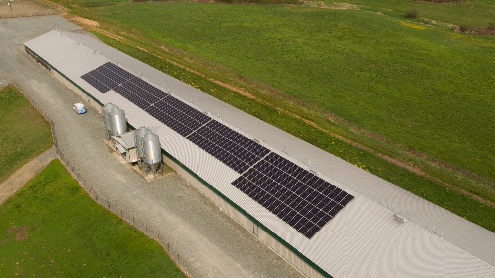 farm house poultry barn renewable energy