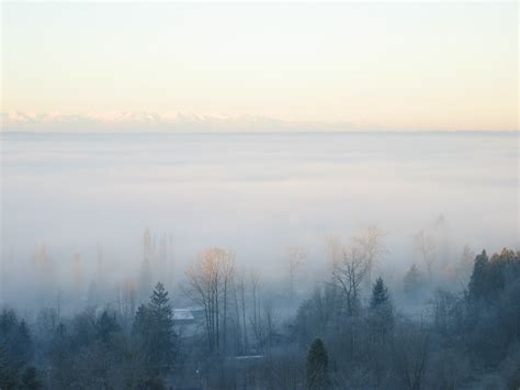 mountain landscape with fog