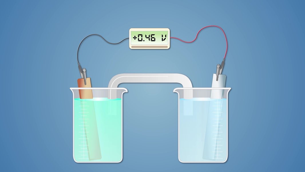 Electrochemical Cell Setup