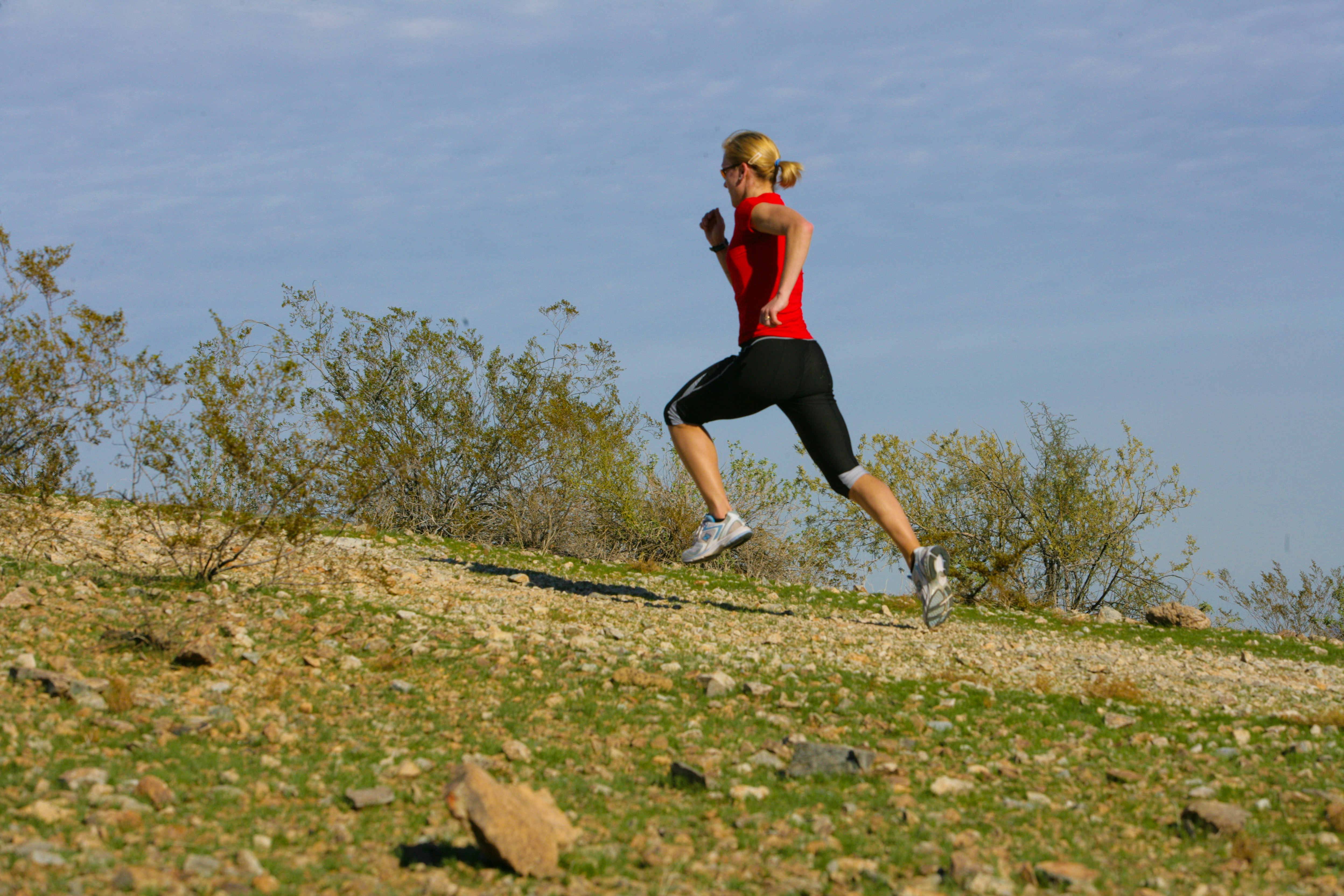 runner training landscape