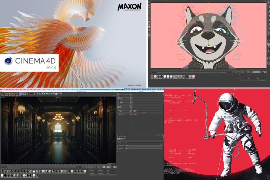 principaux-clients-maxon-analyse-dv6kahyn