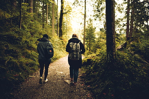 natural scenery therapy setting