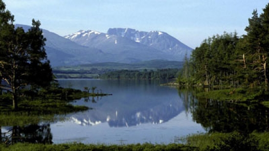 physical scenery project funding