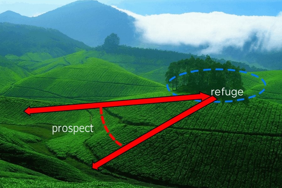 prospect-refuge-theory-explained-1tandwpu