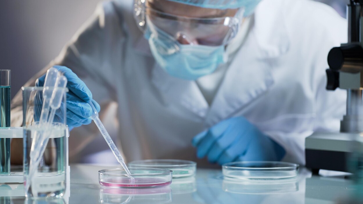 laboratoire scientifique cellules