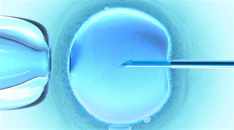 emotional journey ivf process