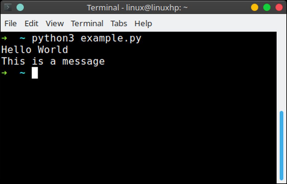 python-echo-string-simulation-pyycvm6b