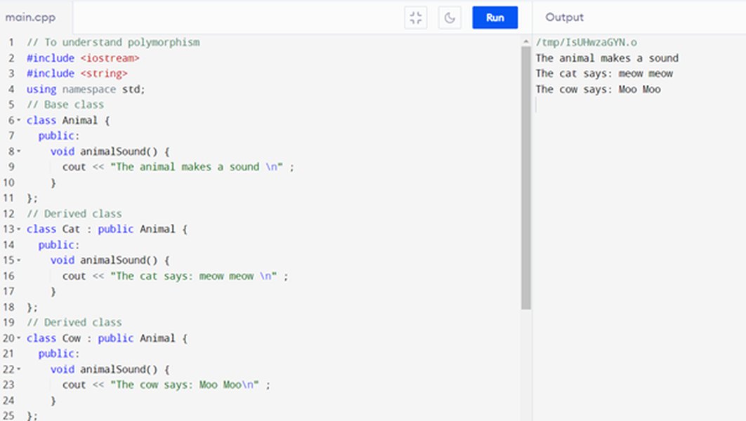 python-proficiency-c-transition-ut7zwbqv
