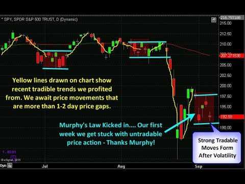 algorithmic trading setup