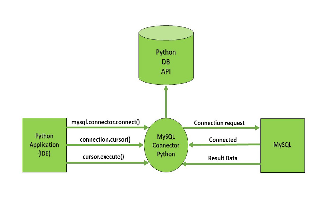 python web development code and server