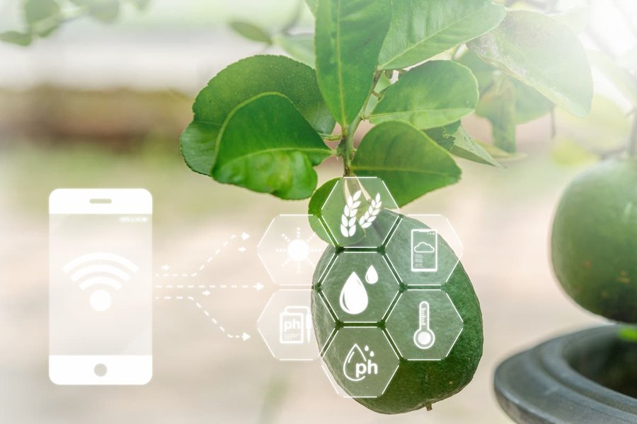 qqoqccp-example-smart-irrigation-ygaj9hyf