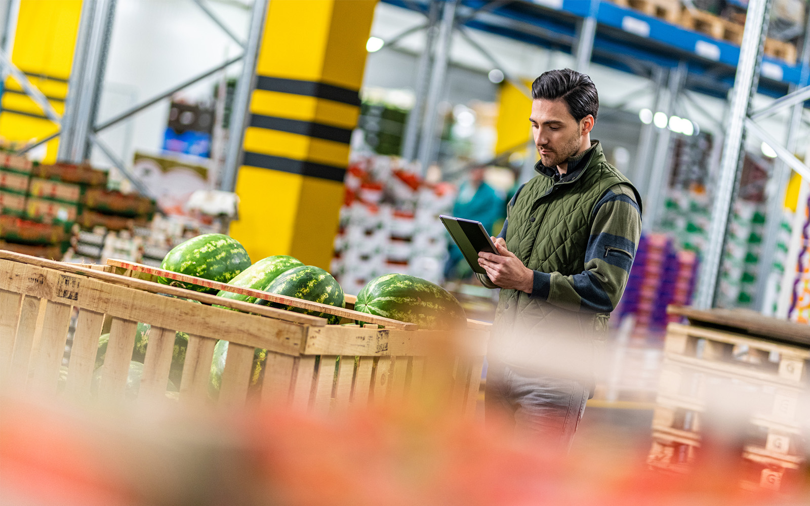 export vegetables quality control farm logistics
