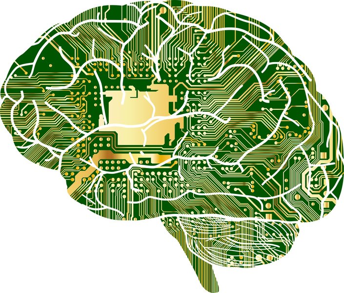 Ithy - Unlocking the Quantum Brain: Does Your Mind Operate Like a ...
