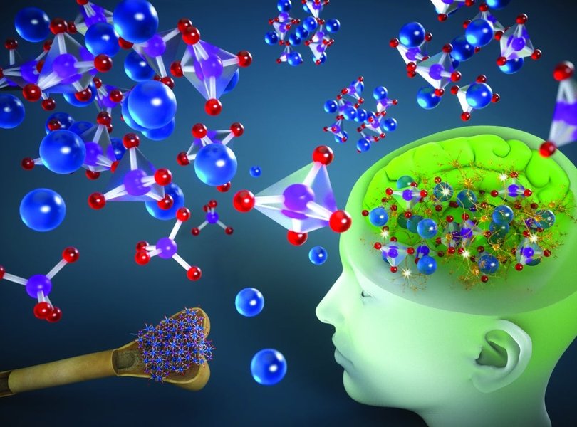 quantum-brain-computation-link-473alewk