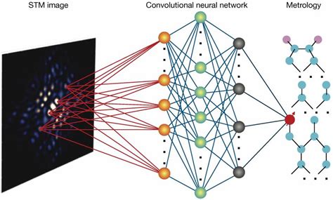 quantum network neural microtubules