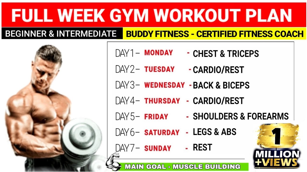 muscle building workout gym