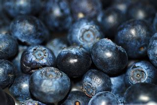 photograph of blueberries