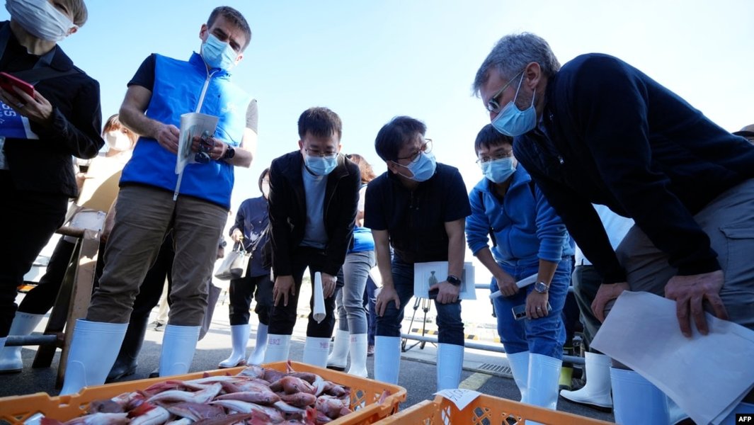 UN inspectors testing fish samples
