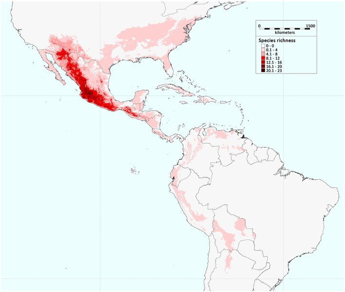 rapid-vs-protected-crop-domestication-nb82ar2n