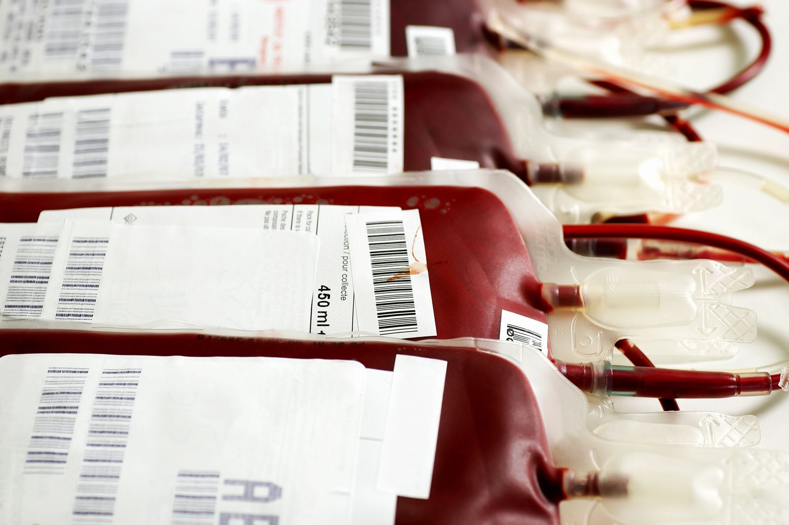 blood donation equipment and rare blood bank
