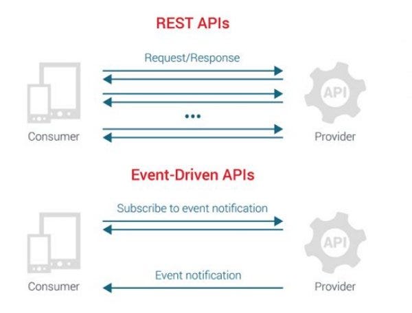 reactive api testing code setup