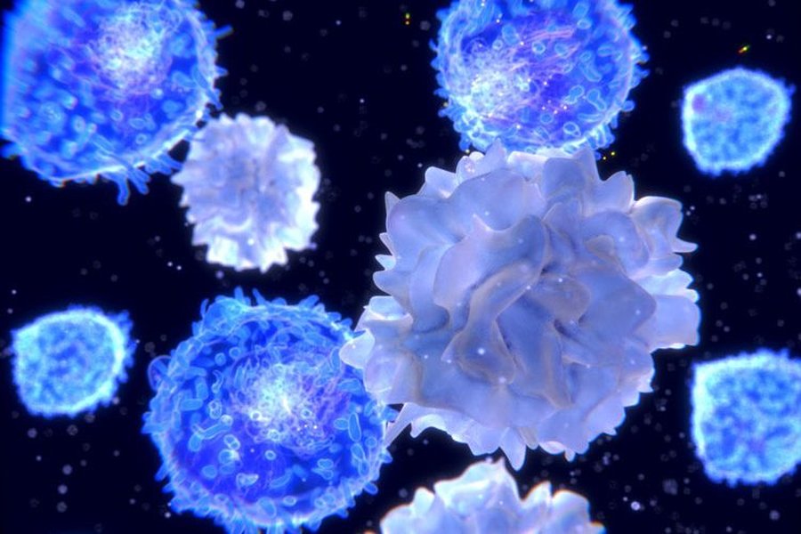 reactive-t-cells-ms-correlation-cxi76nej