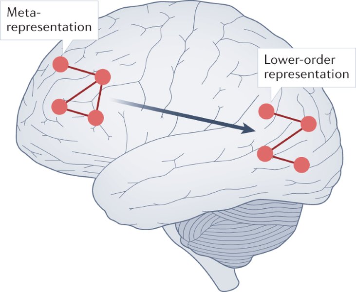 recent-convincing-consciousness-theories-cphxkvsp