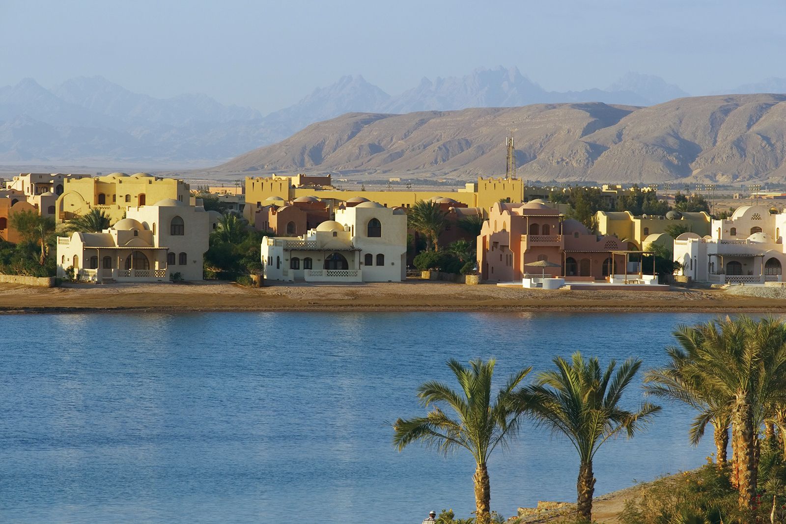 red sea coastal landscape