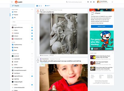 reddit user interface with vibrant community posts