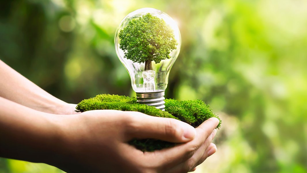 Sustainable living illustration