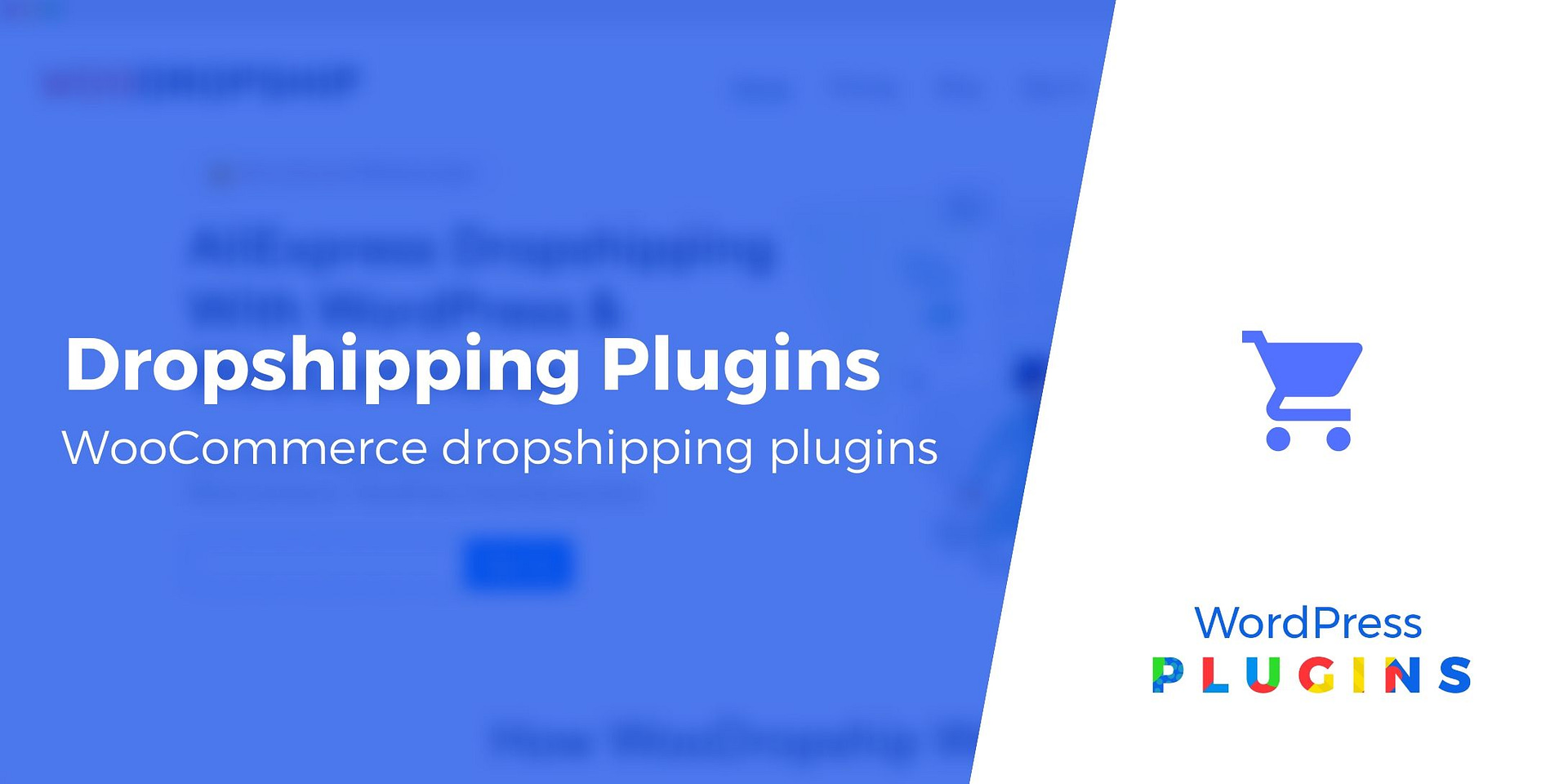 wordpress dropshipping plugins