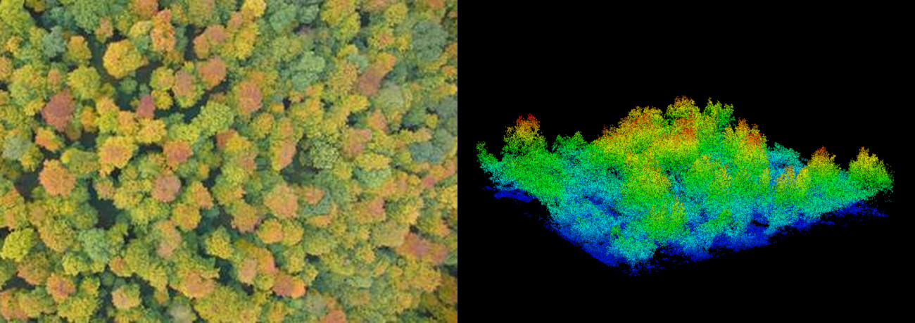remote sensing ecological environment