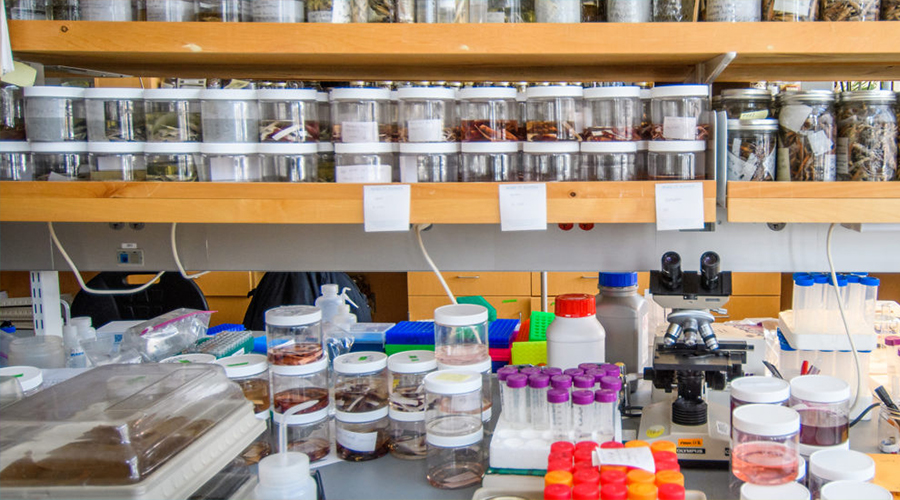 landscape of research lab equipment and study environment