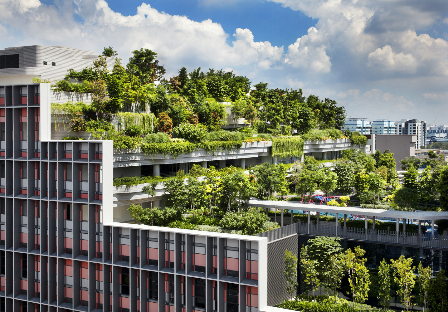 regenerative design residential building