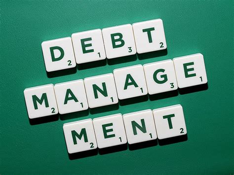 French national debt management