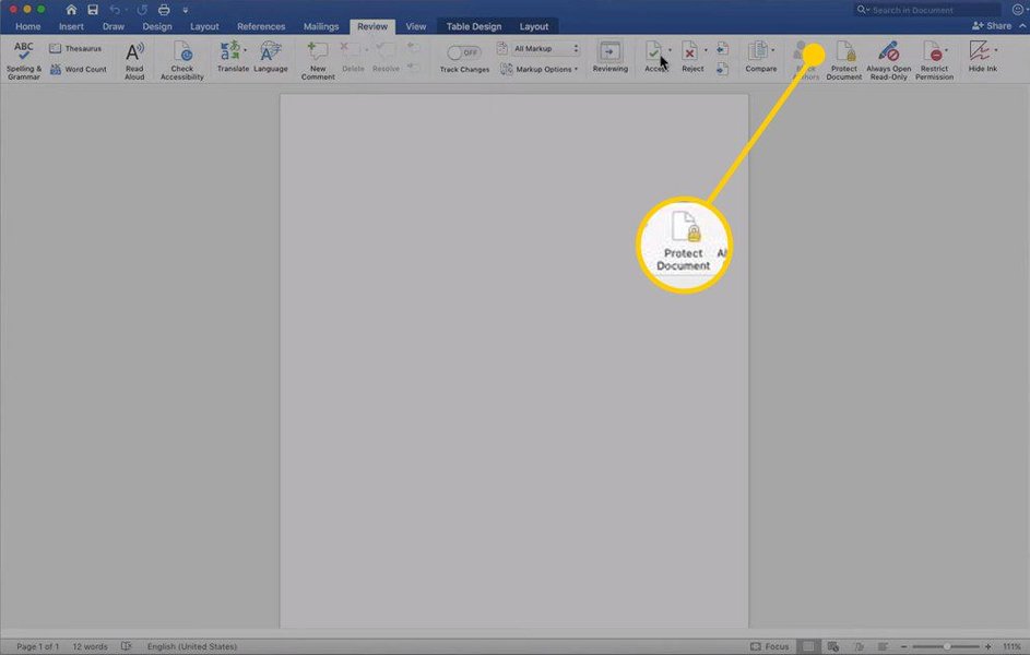 Word document showing protection options