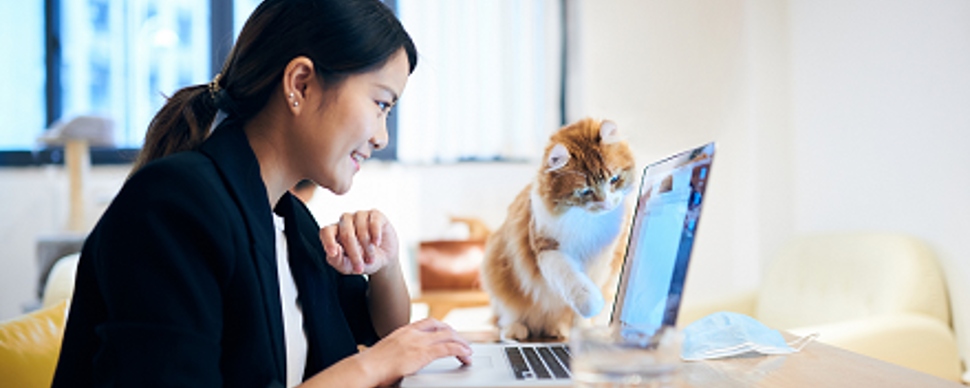 professional resume desk setup