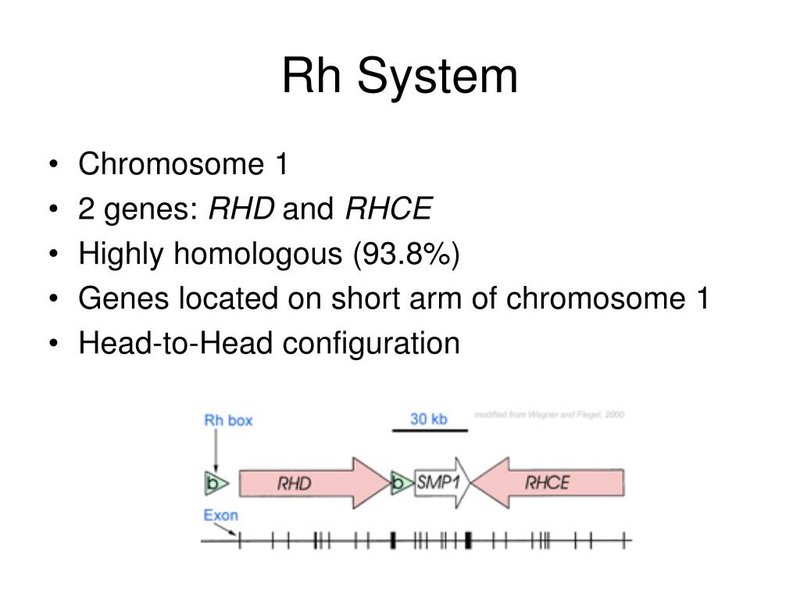 rhce-null-etiology-inactivation-s99cpf6j