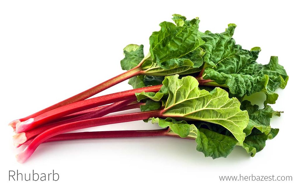 rhubarb-type-2-diabetes-benefits-e3b5itv2