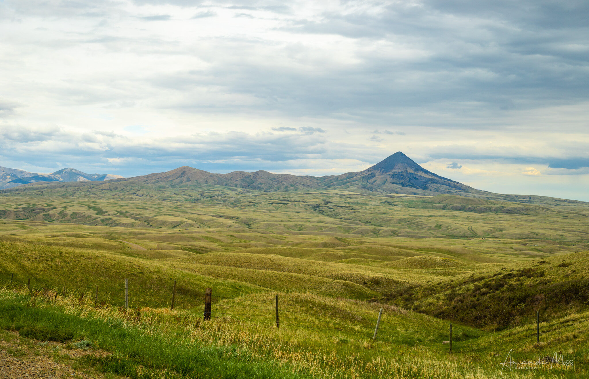 scenic risk management landscape