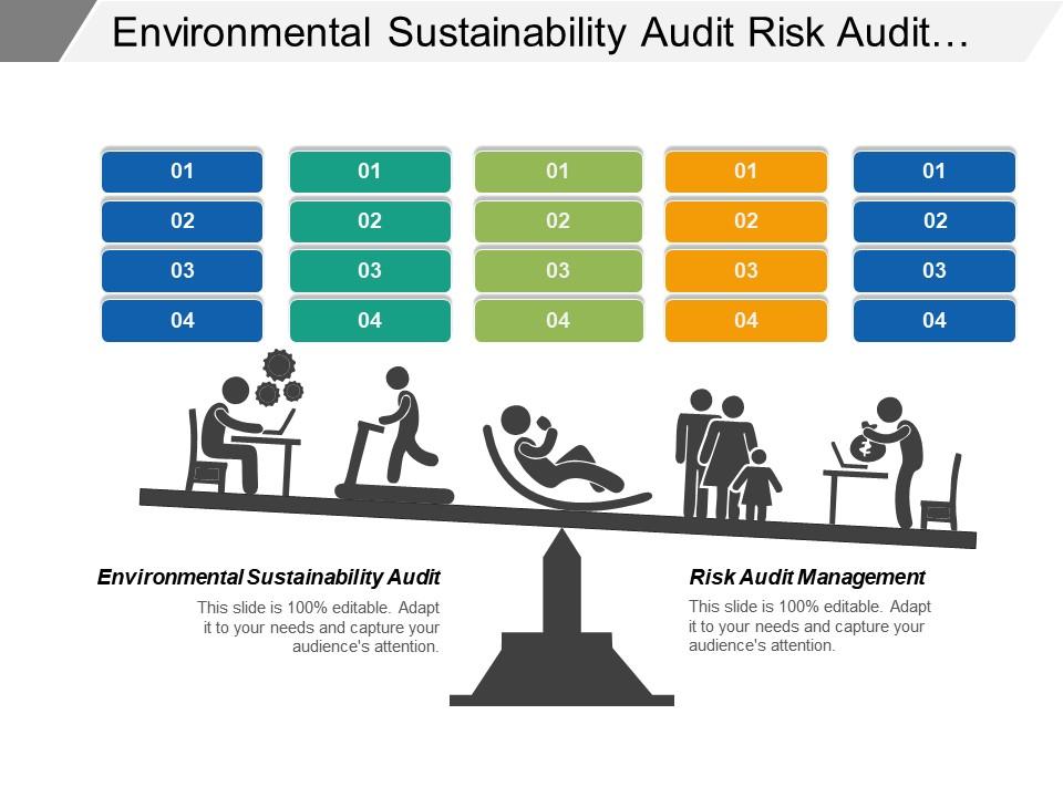 corporate sustainability audit
